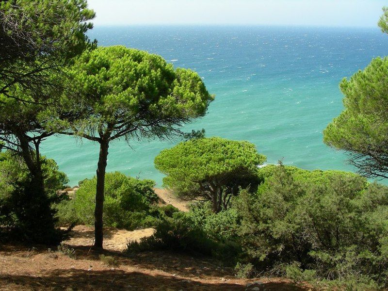 La Aceitera De Trafalgar بارباتي المظهر الخارجي الصورة